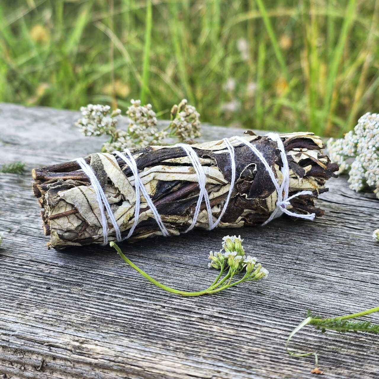 Kadzidło w wiązce Yerba Santa święte ziele 30g - 35g - obrazek 4
